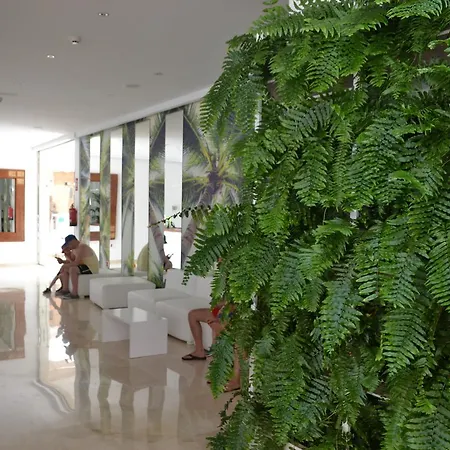 Parque De Americas 플라야데라스아메리카스